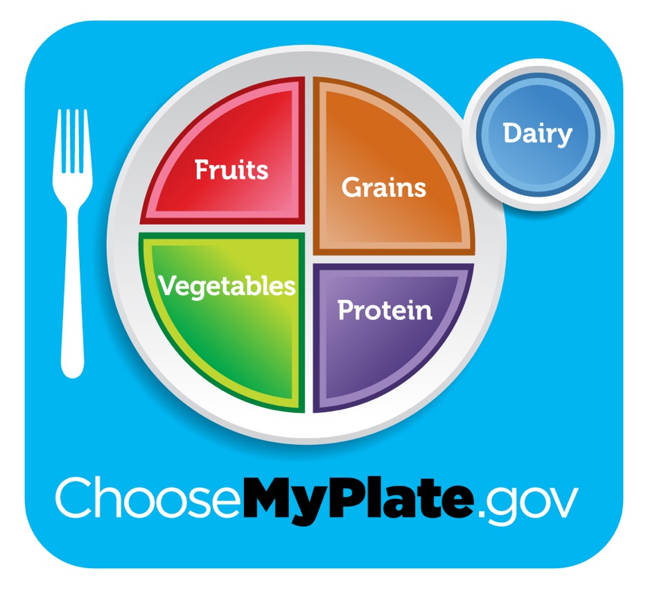 My plate, the USDA's new food icon, suggests that fruits and vegetables should comprise half of a healthy meal.